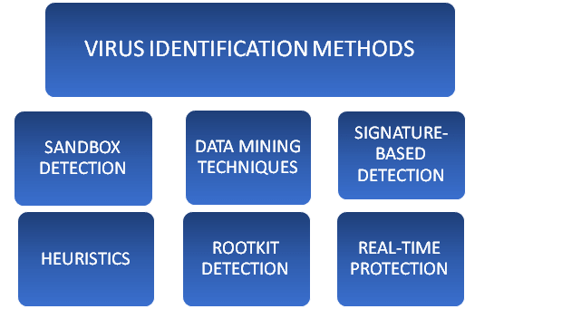 Virus Identification Method